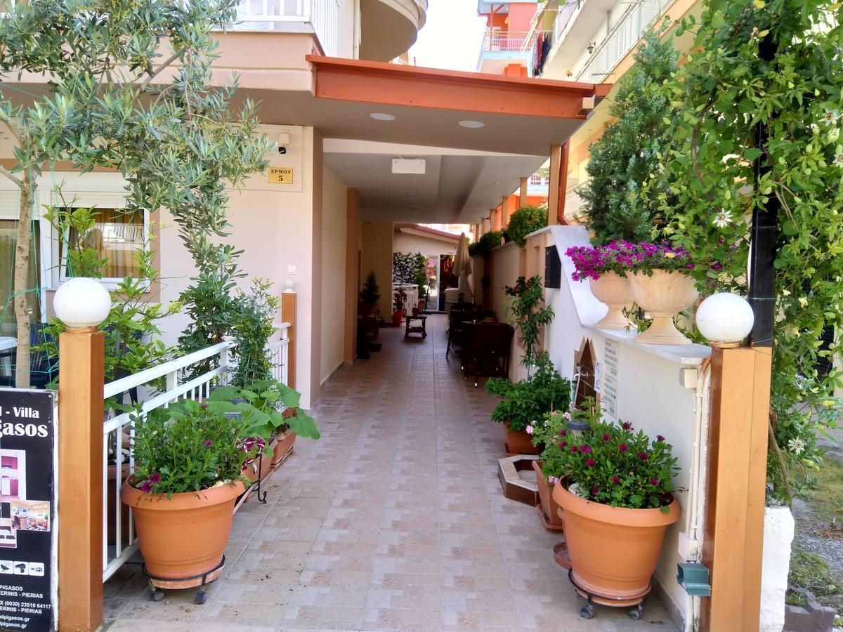 Hotel Villa Pigasos Paralía 외부 사진